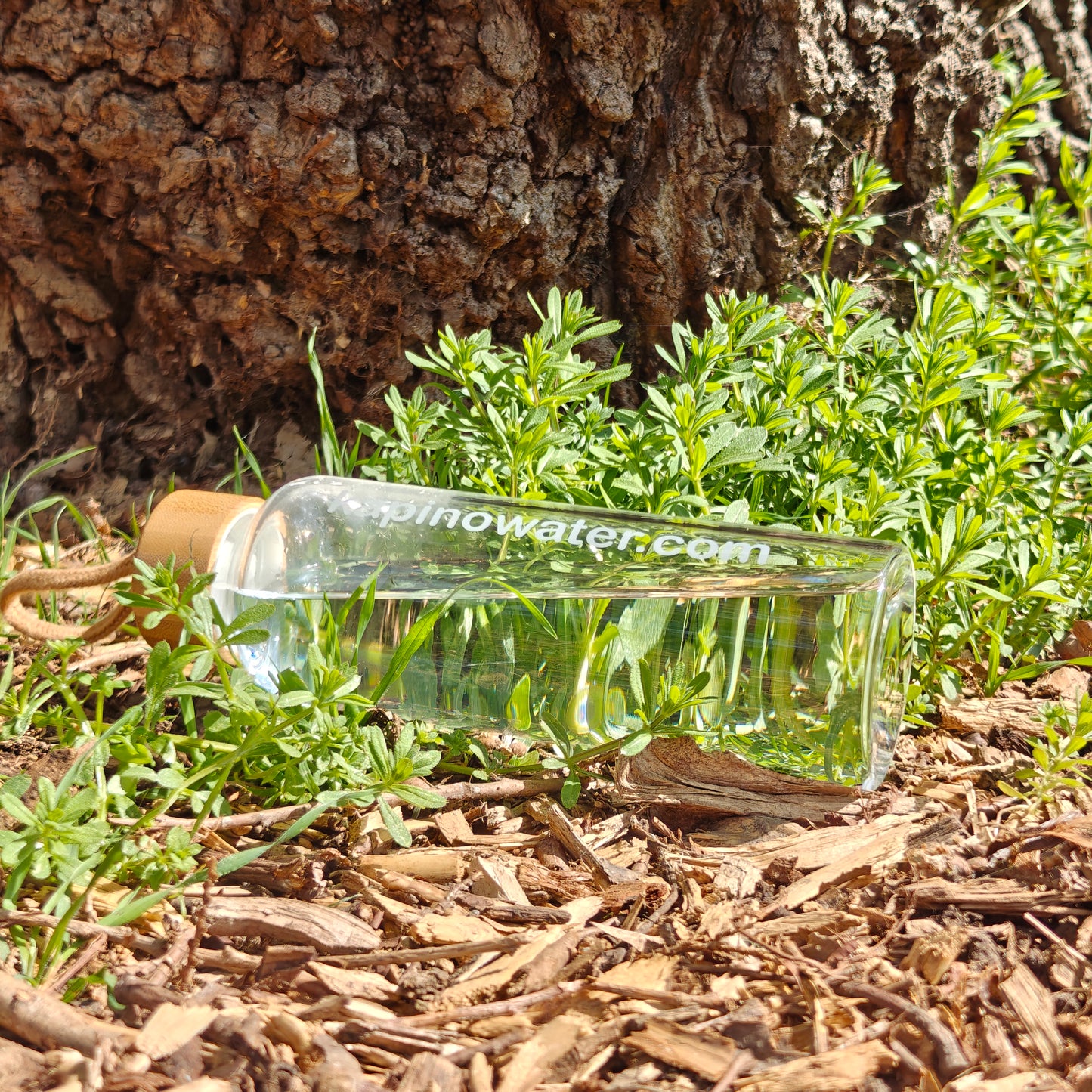 Hand carrying the stylish 500ml borosilicate glass bottle using the sleeve handle.