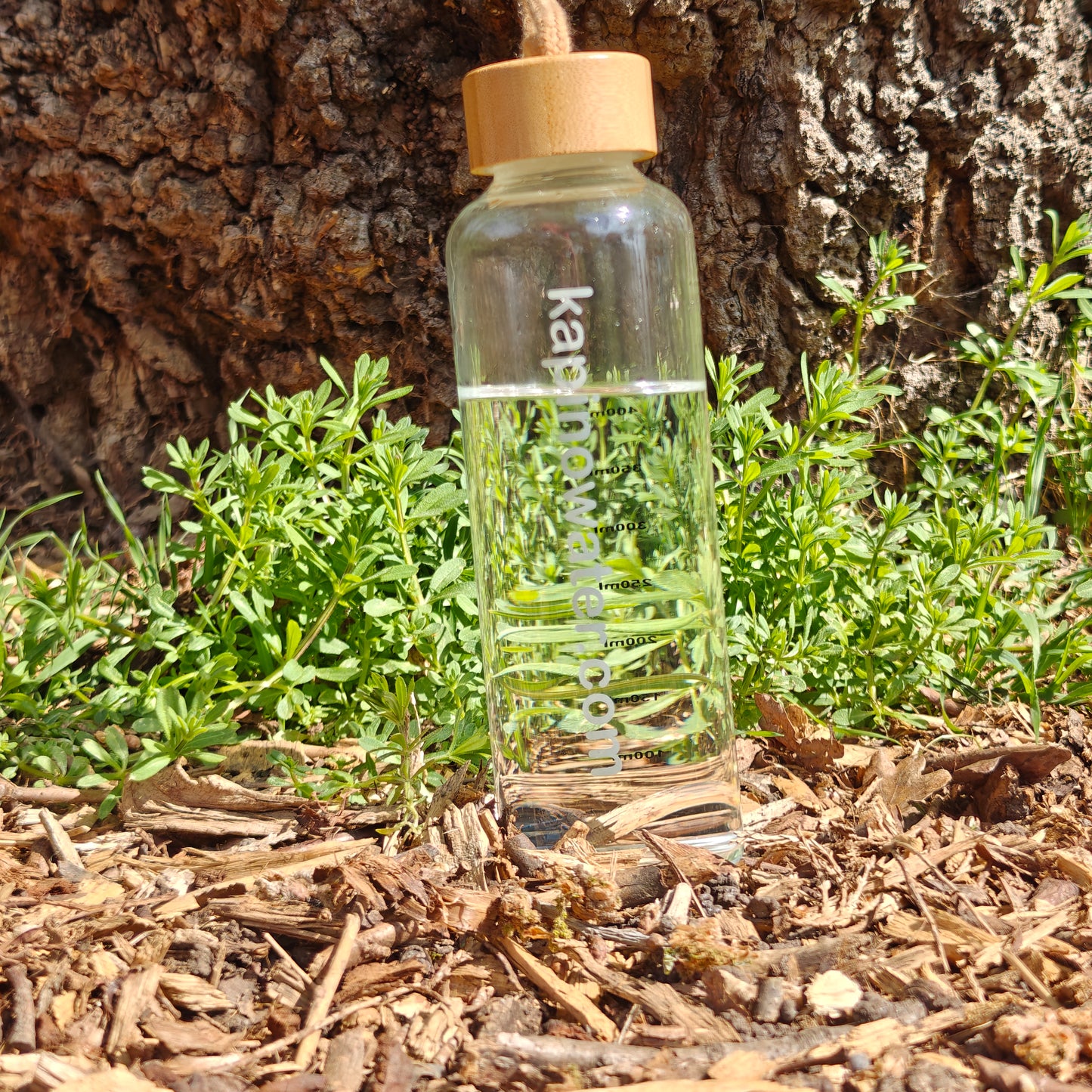 Premium 500ml borosilicate glass water bottle with bamboo twist/swing lid (SKU 302).