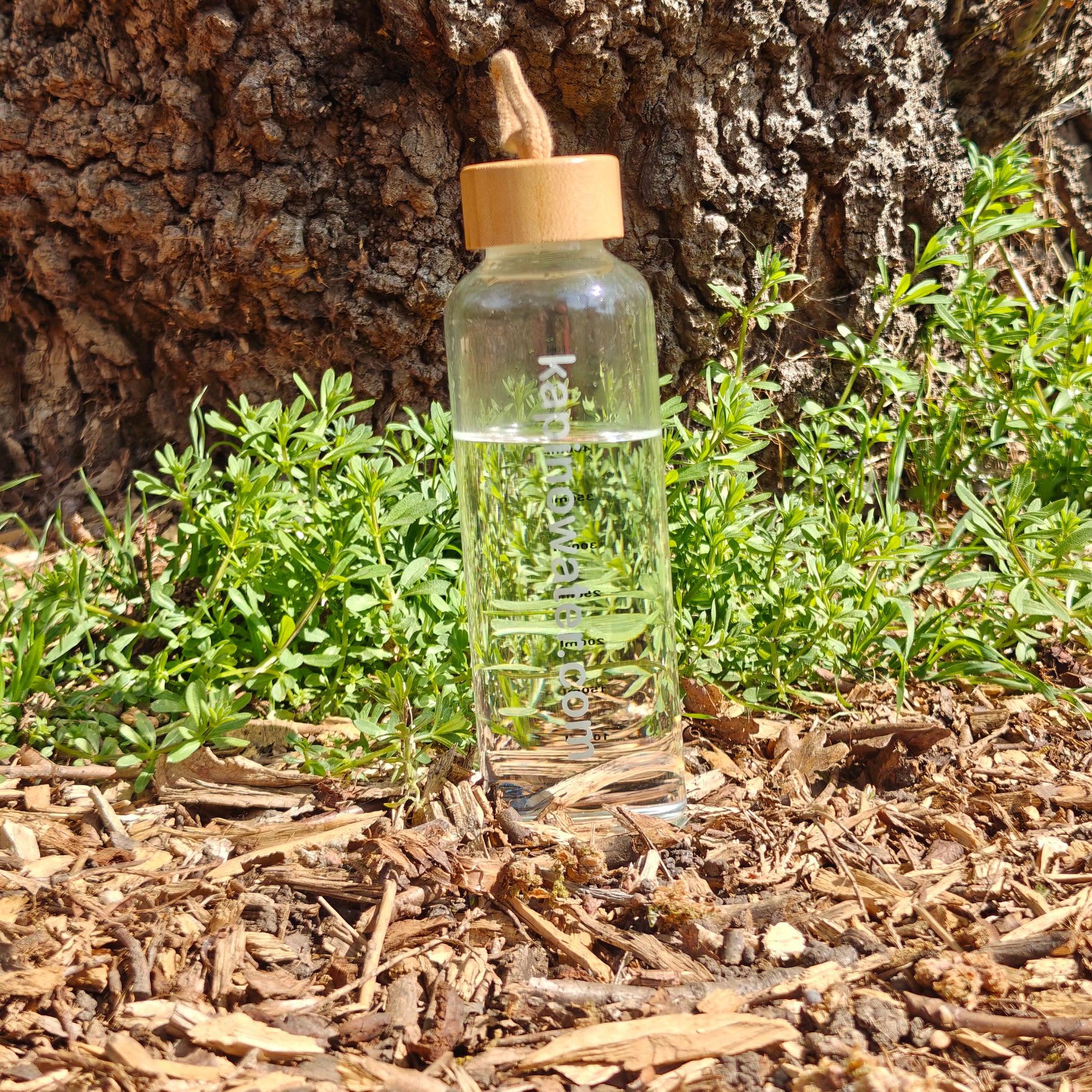 The 500ml borosilicate glass bottle shown without its protective sleeve (SKU 302).
