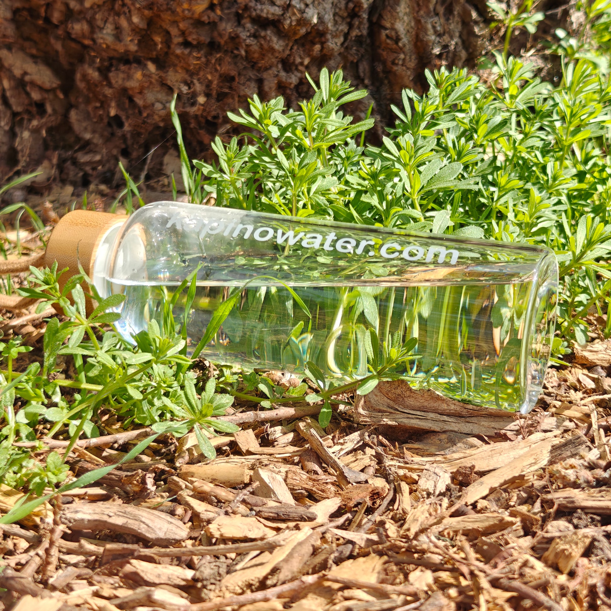 Portable and reusable 500ml glass bottle with bamboo lid and carrying sleeve.